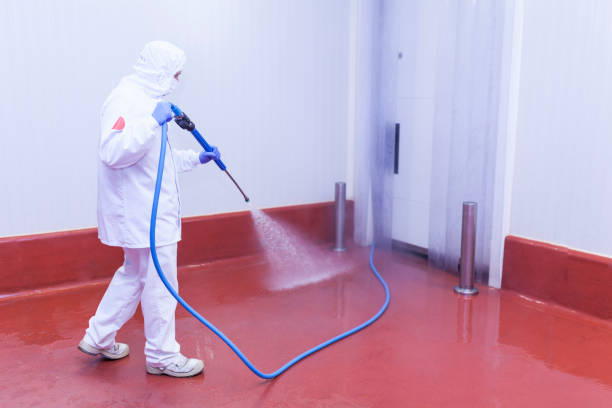 Pre-Holiday Cleaning in Marina, CA